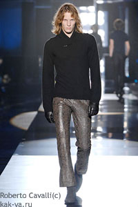 ������� ���� �����-���� 2007-2008