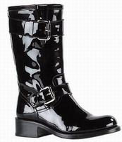 ������ ����� 2007-2008