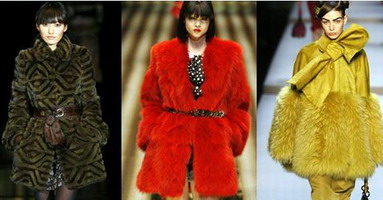 ������ ���� ���� 2007 2008