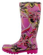 ���� 2008 ����. ������ �� �����. ���������� ������: ������, �����, ����������