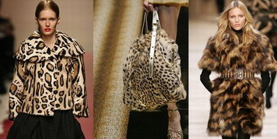 ���� 2008 ����. ������ �� �����. ���������� ������: ������, �����, ����������