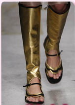 �������-������ ����� 2008