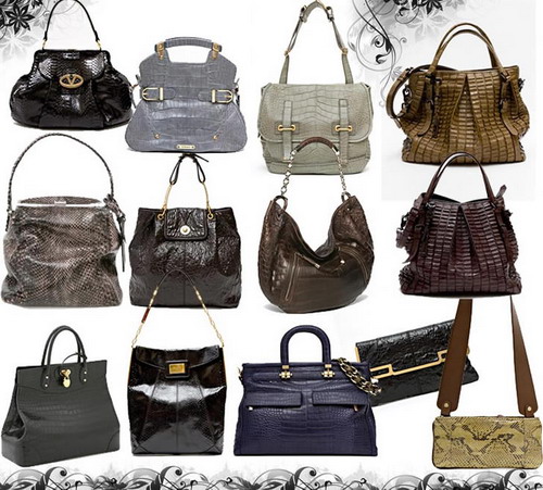 ������ ����� �����-���� 2008-2009