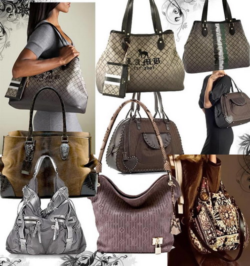 ������ ����� �����-���� 2008-2009