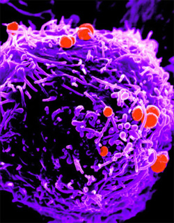 ��������� �� ����������� ���������