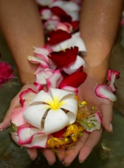 ������������ � �������� ��������