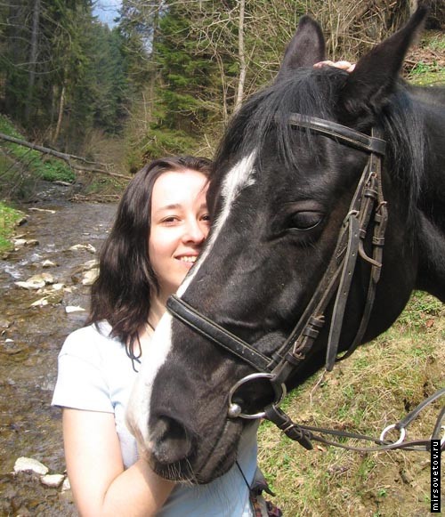 �������� �������� ��������� ��������� ������