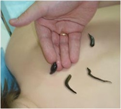 ������� ��������